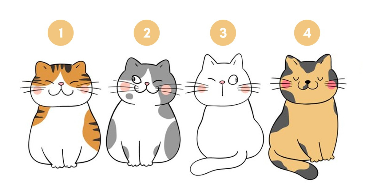Test de personnalité le chat que vous choisissez reflète votre objectif de vie