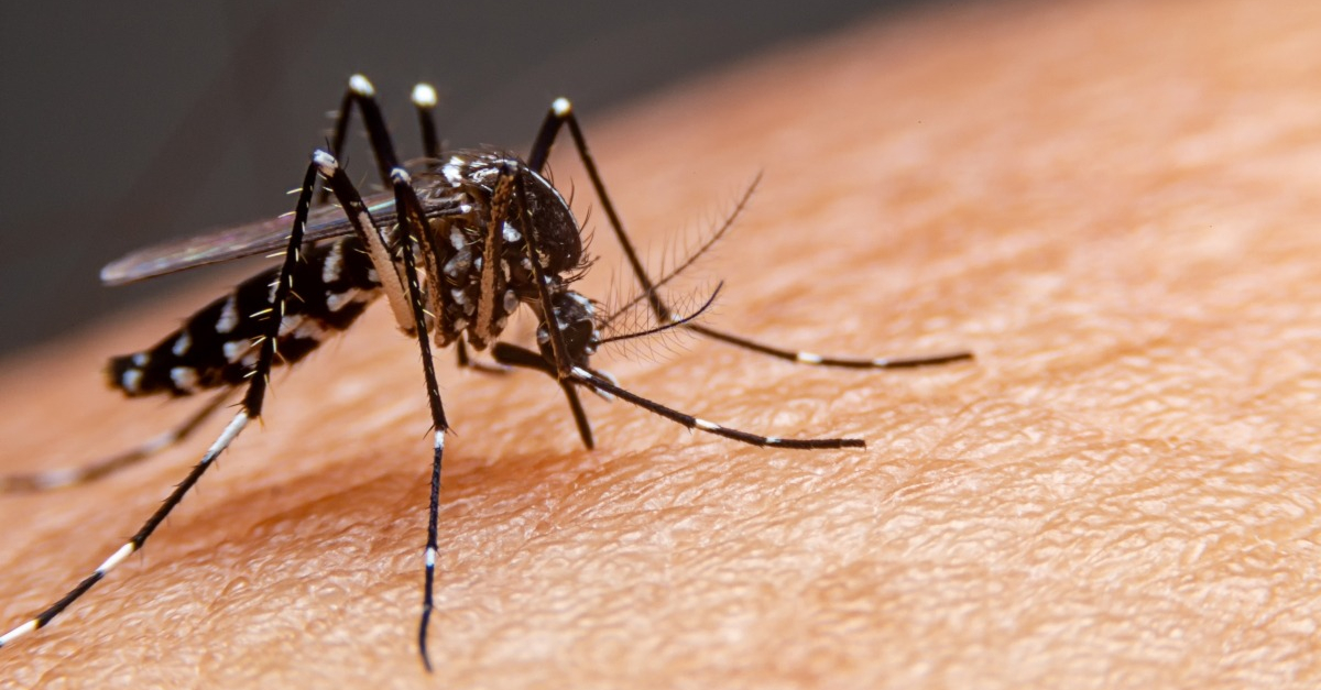 Incognito Nettoyant Cheveux Et Corps Insectifuge 200 Ml