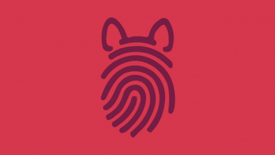 Illustration : "Test de personnalité : faites-vous partie des gens loyaux ?"