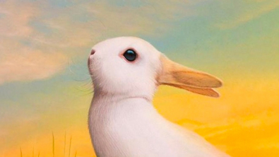 Illustration : "Test de personnalité : votre perception de cette image révèle comment les gens vous perçoivent"
