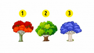 Illustration : "Test de personnalité : découvrez les différents aspects négatifs de votre personnalité en choisissant un arbre"