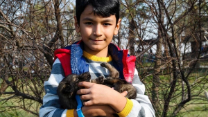 Illustration : "Un enfant insiste pour adopter le chiot le moins apte d'une portée, handicapé comme lui"