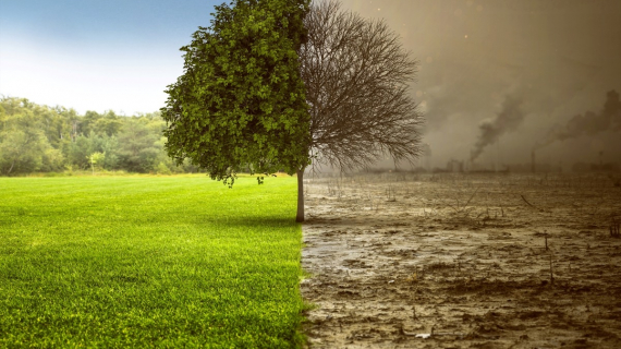 Illustration : Voici les régions françaises à éviter d'ici 2100 selon les experts