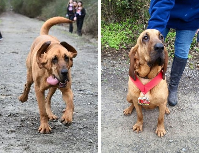 Illustration de l'article : 28 personnes qui ont vécu une expérience dont elles se souviendront toute leur vie