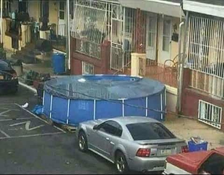 Illustration de l'article : Ces 21 photos qui montrent que l'Homme et la nature sont parfois incompris