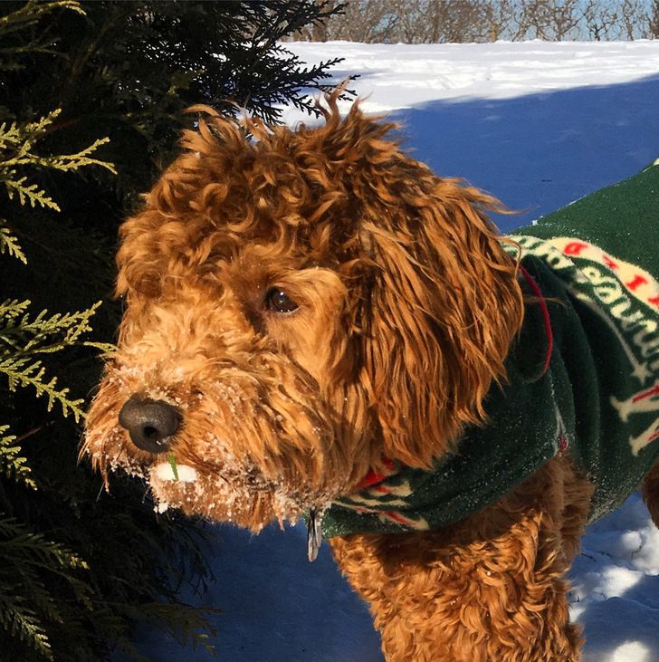 Illustration de l'article : Ces 20 photos qui ne sont pas ce qu'elles semblent &ecirc;tre