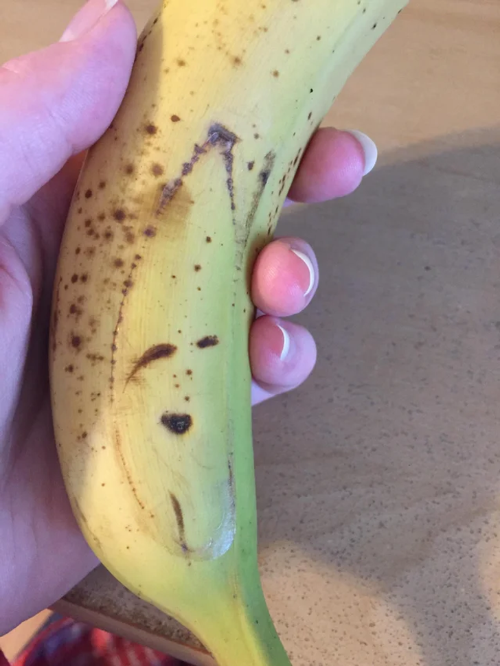 Illustration de l'article : Ces 19 photos qui illustrent les traits d'humour du quotidien