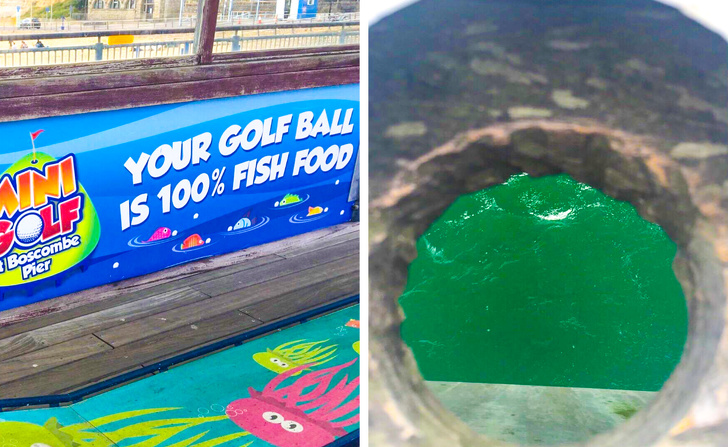 Illustration de l'article : Ces 24 conceptions qui permettent de mieux préserver la planète