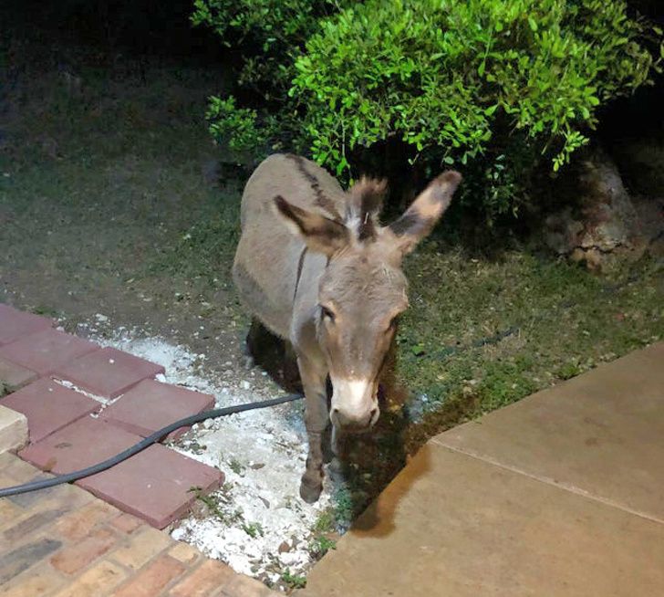 Illustration de l'article : Ces 20 personnes qui ont loué un logement de rêve pour leurs vacances