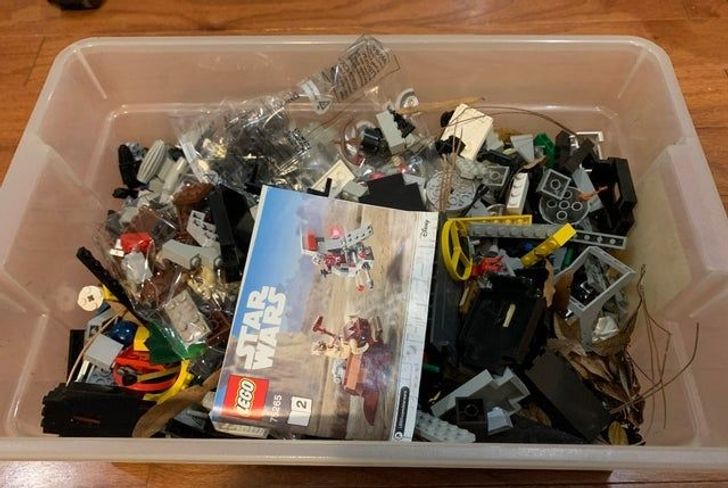 Illustration de l'article : Ces 20 photos d'objets de valeur jetés dans les ordures