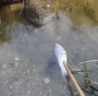 Illustration de l'article : Ces 29 photos curieuses qui révèlent le monde dans lequel nous vivons