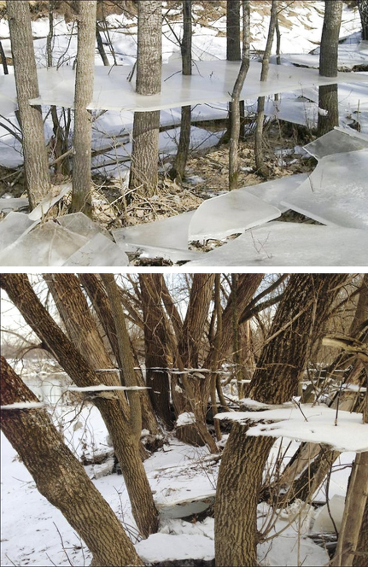 Illustration de l'article : Ces 24 photos qui ressemblent à des bugs informatiques