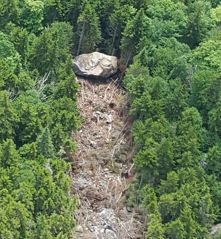 Illustration de l'article : Ces 23 photos montrent qu'on peut découvrir chaque jour de nouvelles choses