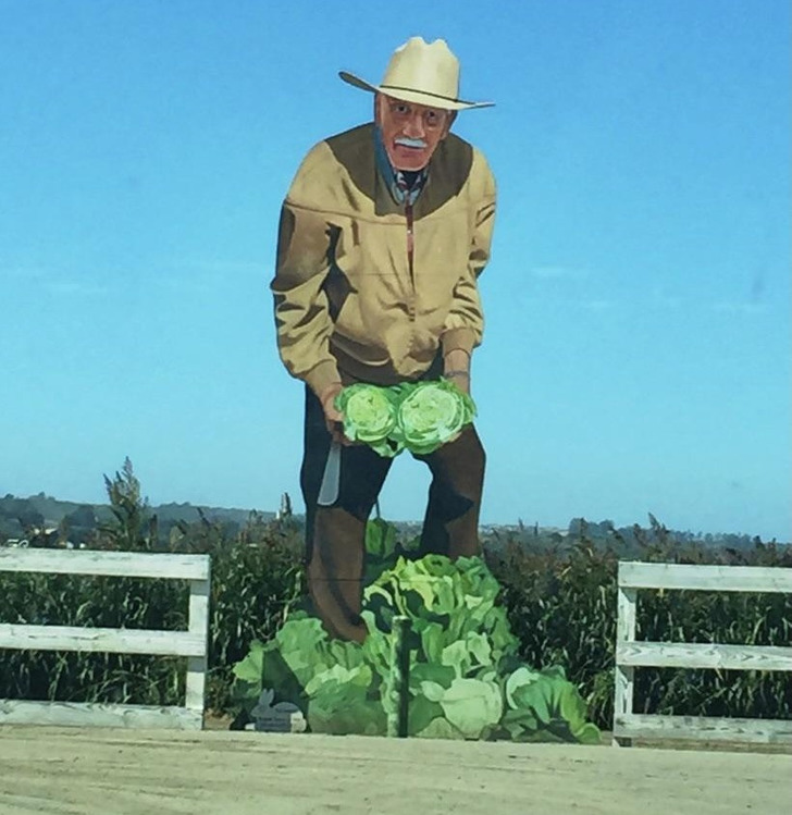 Illustration de l'article : Ces 20 photos qui illustrent des découvertes inattendues