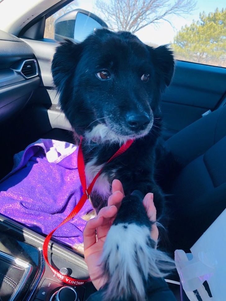 Illustration de l'article : Ces 22 actes de bonté dans le monde