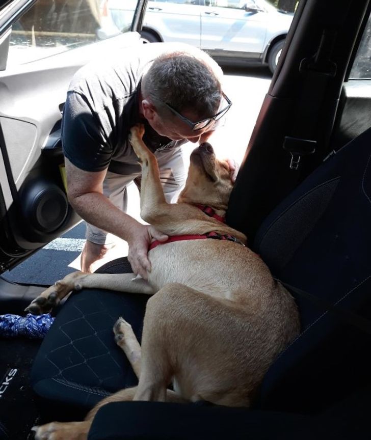 Illustration de l'article : Ces 20 personnes qui étaient contre adopter un animal de compagnie