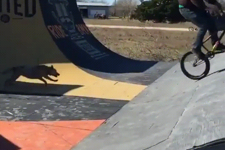 Illustration de l'article : Ces 21 photos de faits ou de curiosités rares