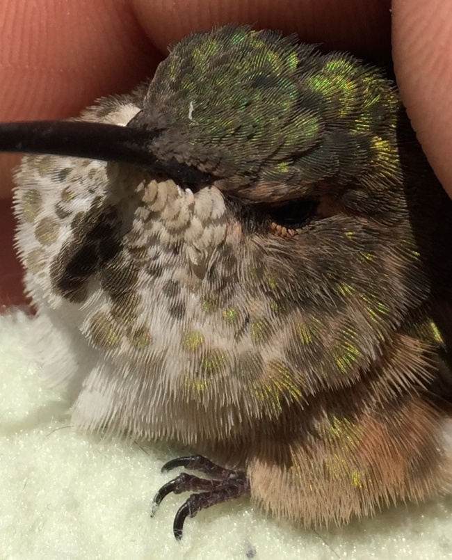 Illustration de l'article : 27 personnes partagent avec vous leurs découvertes incroyables