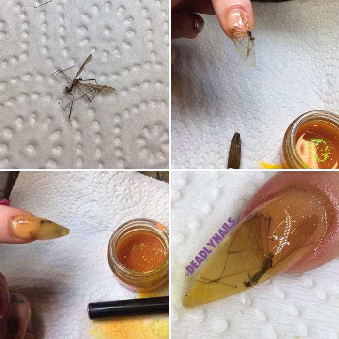 Illustration de l'article : 20 curieux fails en DIY (Do It Yourself)