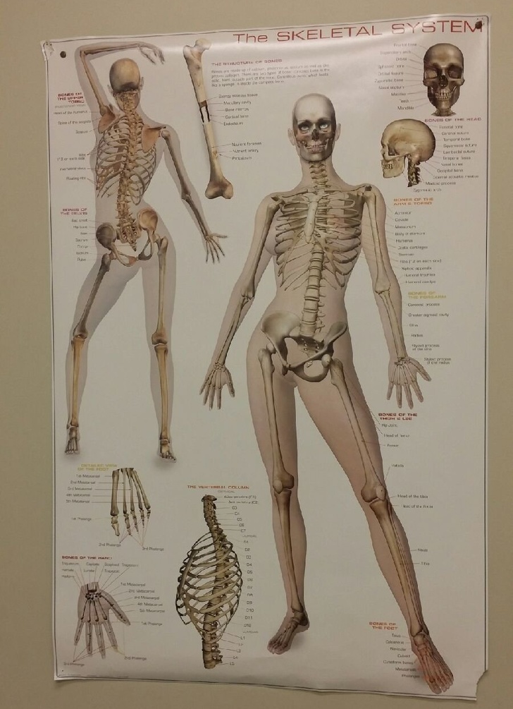 Illustration de l'article : Ces 17 docteurs qui ont le sens de l'humour