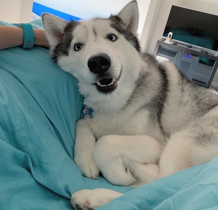 Illustration de l'article : Ces 24 photos qui montrent la joie de vivre