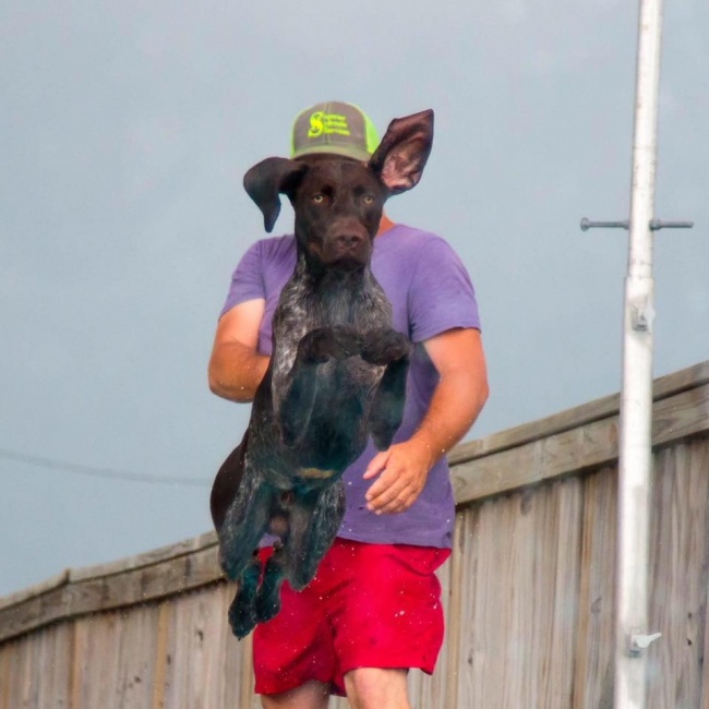 Illustration de l'article : 27 photographies de pros prises au bon endroit et au bon moment !