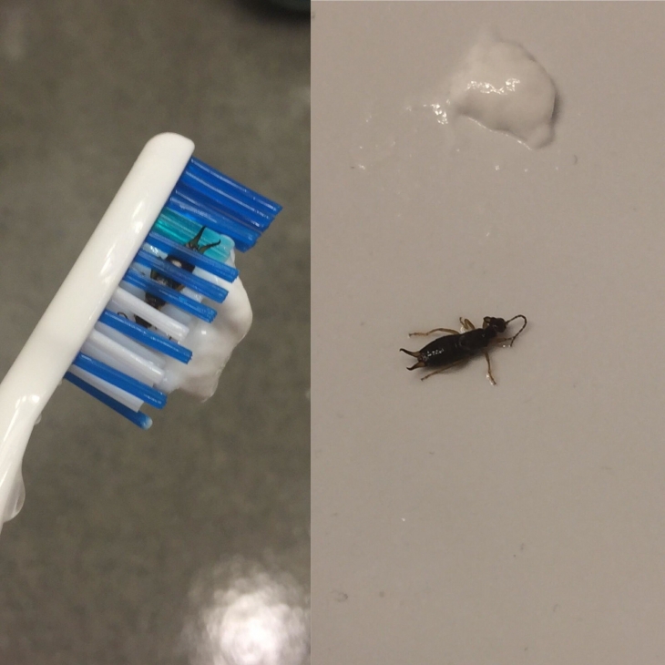 Illustration de l'article : 23 images déroutantes qui vont vous faire bondir de votre chaise