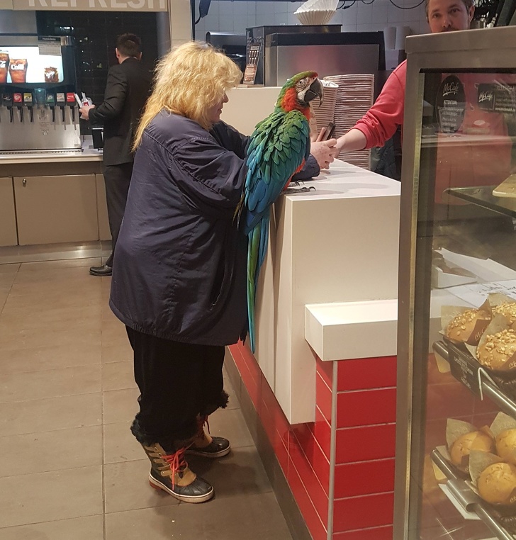 Illustration de l'article : Ces 15 choses de gens un peu fous qui prêtent à sourire