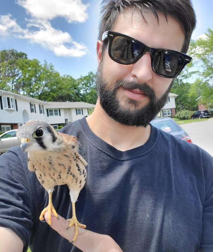 Illustration de l'article : Ces 22 photos saisies au bon moment