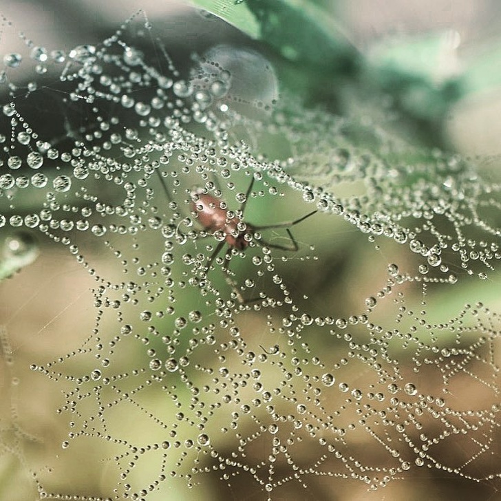 Illustration de l'article : Ces 19 scènes qui pourraient être dans un film d'aventure