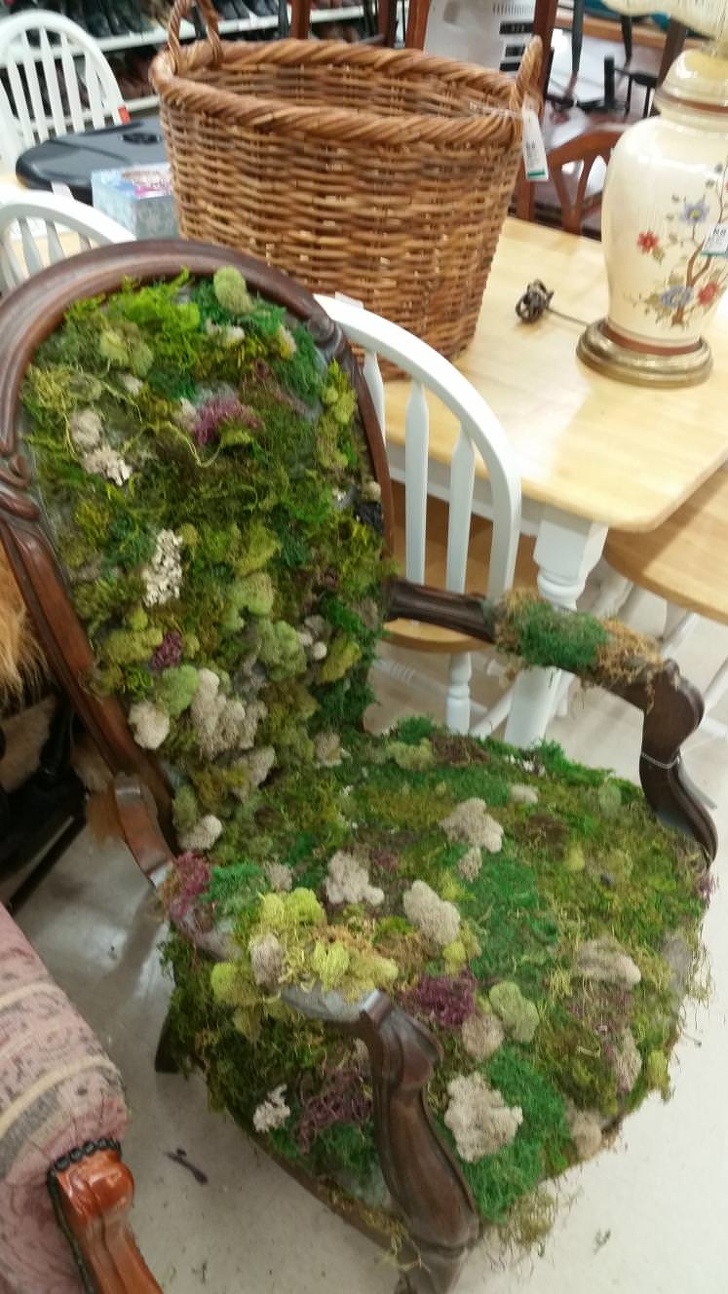 Illustration de l'article : Ces 30 créations d'experts du bricolage à la va-vite