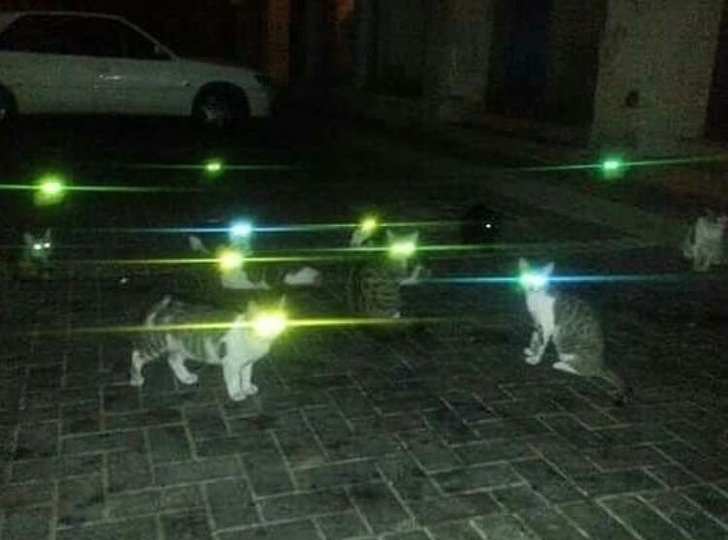 Illustration de l'article : Ces 17 façons de voir les choses qui sortent de l’ordinaire