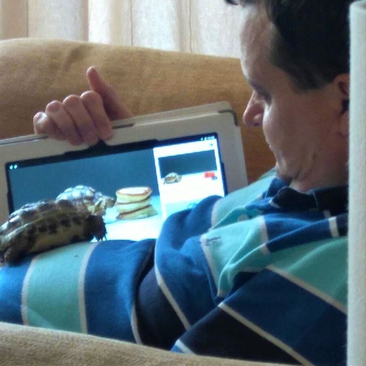 Illustration de l'article : Ces 20 personnes qui étaient contre adopter un animal de compagnie