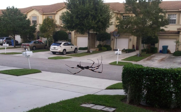 Illustration de l'article : Ces 18 visions légèrement modifiées par la perspective