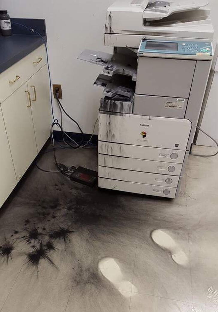 Illustration de l'article : Ces 24 journées que ces personnes voudraient recommencer