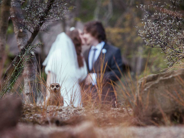 Illustration de l'article : 20 photos de mariage qui vont laisser des souvenirs inoubliables aux futurs mariés