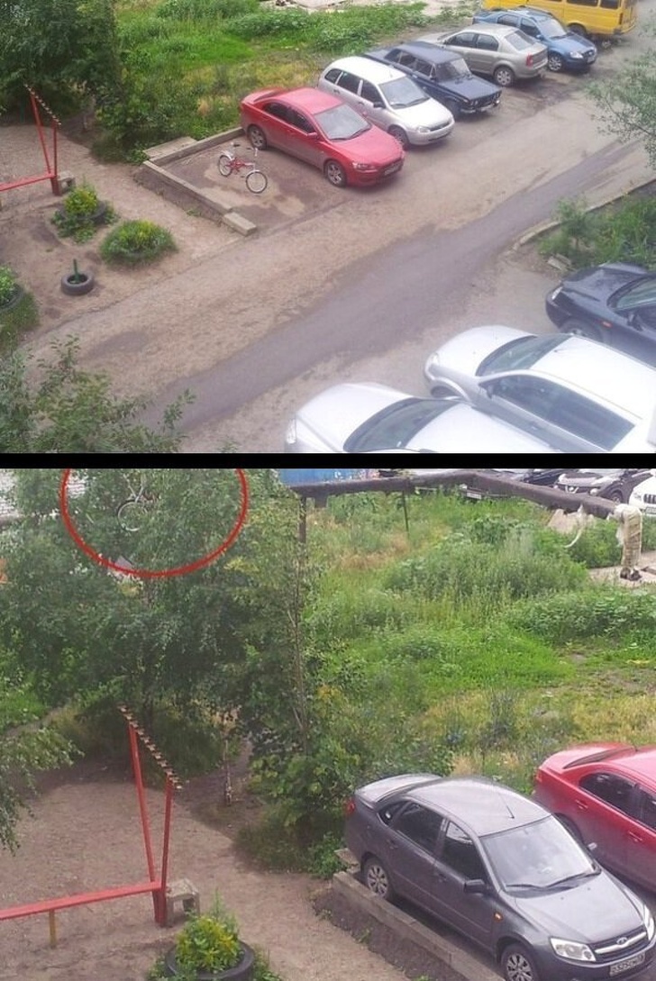 Illustration de l'article : Ces 20 photos qui montrent que se garer n'est pas si simple