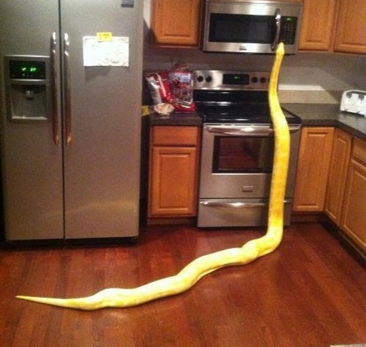 Illustration de l'article : Ces 19 photos effrayantes sauf pour les amateurs de sensations fortes