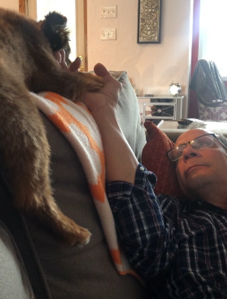 Illustration de l'article : Ces 20 personnes qui étaient contre adopter un animal de compagnie