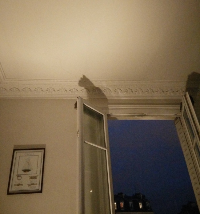 Illustration de l'article : 23 photos trompe-l’œil qui jouent avec l'illusion