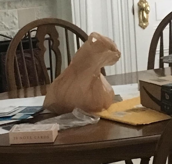 Illustration de l'article : Ces 18 visions légèrement modifiées par la perspective