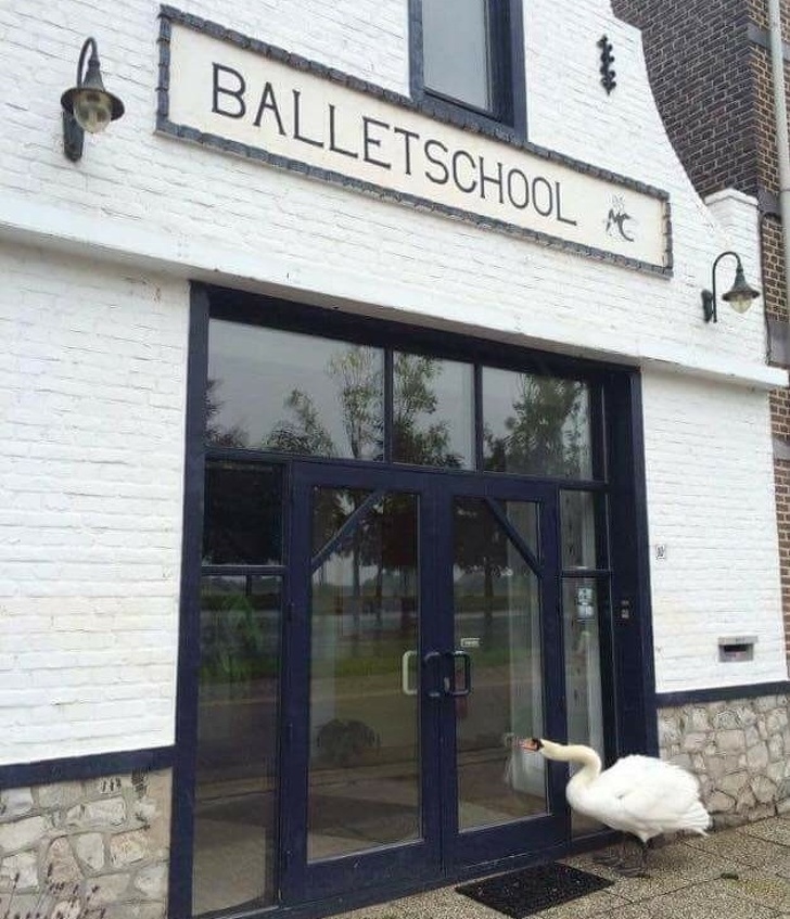 Illustration de l'article : Ces 17 photos de personnes qui ne connaissent pas la logique