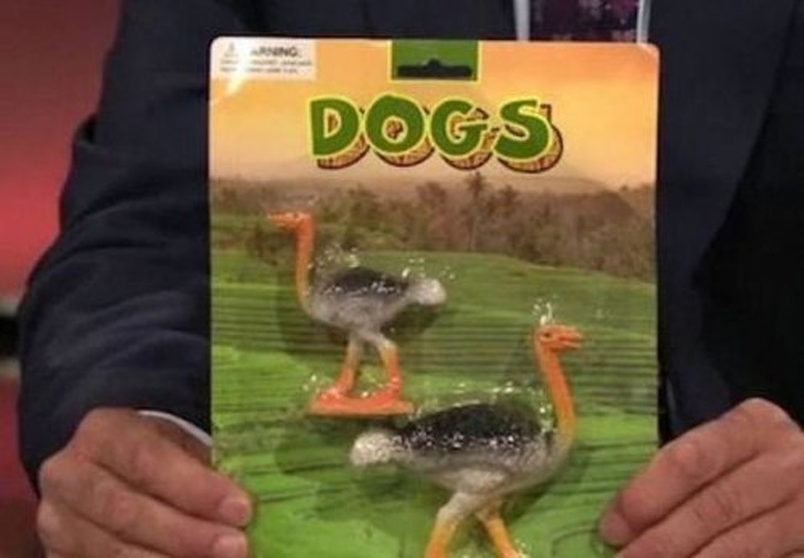 Illustration de l'article : Ces 22 photos qui montrent que certaines personnes peuvent faire des choses absurdes