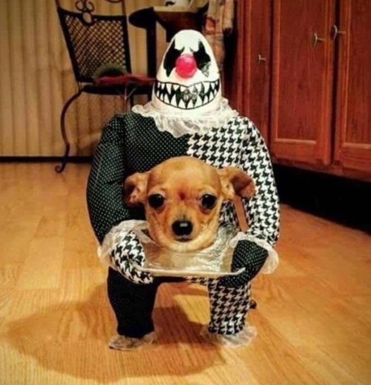 Illustration de l'article : Ces 17 lieux ou scènes qui mettent mal à l'aise