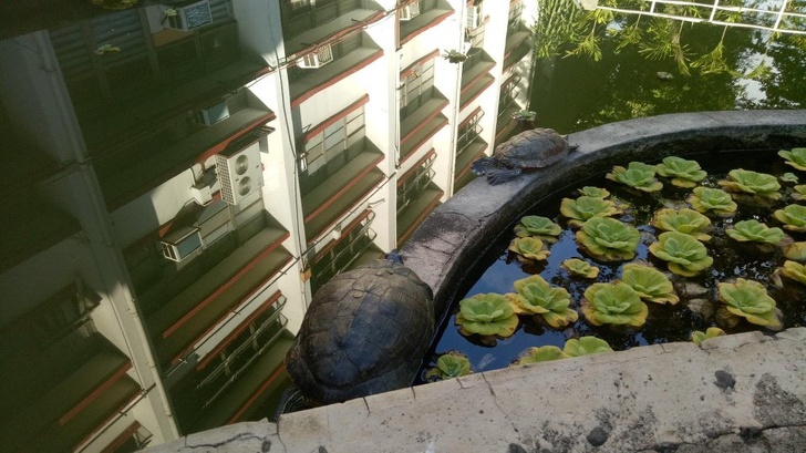 Illustration de l'article : Ces 20 photos qui ont été prises au plus parfait des moments