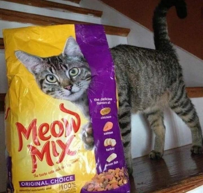 Illustration de l'article : 26 choses qui ne sont pas ce qu’elles paraissent