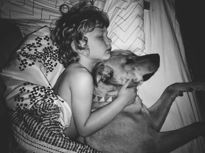 Illustration de l'article : 20 photos illustrant le quotidien d’une maman de garçons