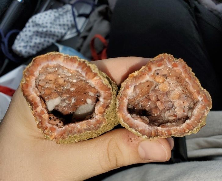 Illustration de l'article : Ces 15 objets qui ne sont pas ce qu'on croit 