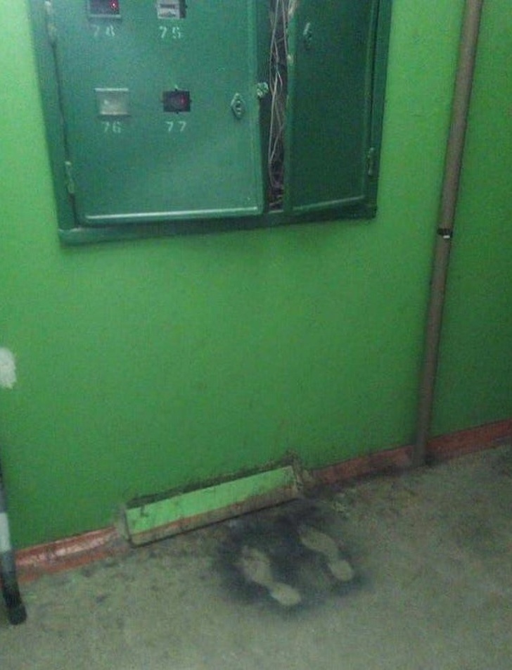 Illustration de l'article : Ces 18 personnes pour qui la vie est pleine de drames