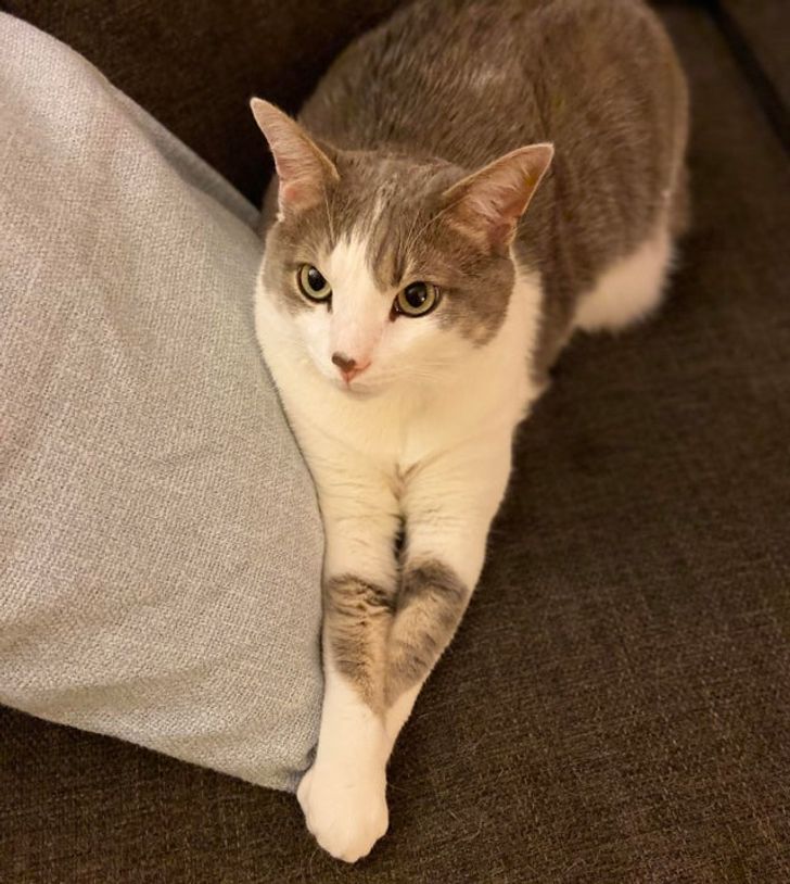 Illustration de l'article : Ces 19 photos qui illustrent la beaut&eacute; de la nature 